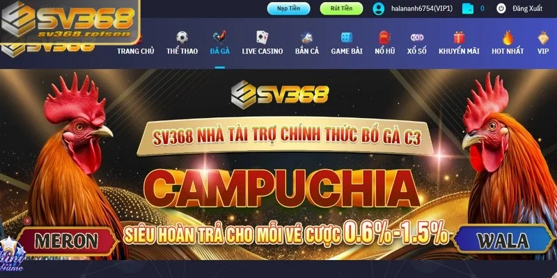 Một số lưu ý khi sử dụng tài khoản dùng thử tại SV368